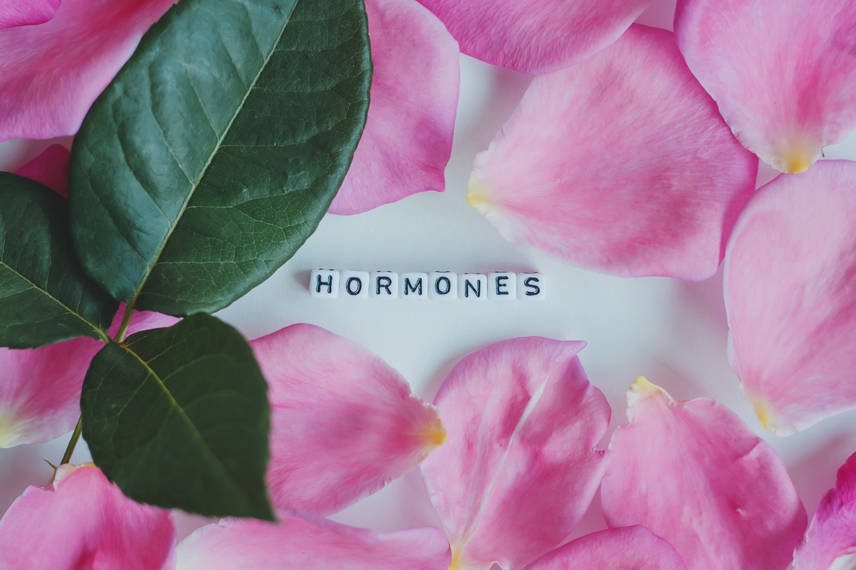 Hormones word cubes on a white background